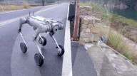 New robot dog at home in water