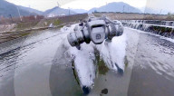 New robot dog at home in water
