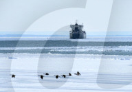 Rock salt freighter stuck in ice in Buffalo