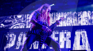 Pantera