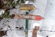 NATO ambassadors climb Ukraine mountain top during Unity of Allied Forces 2025 Forum