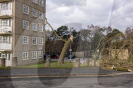 2025-01-24 Storm E?owyn, Tree Damage Moor Allerton Leeds LS17