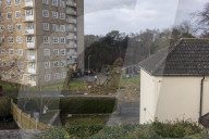 2025-01-24 Storm E?owyn, Tree Damage Moor Allerton Leeds LS17
