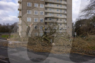 2025-01-24 Storm E?owyn, Tree Damage Moor Allerton Leeds LS17