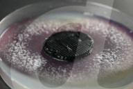Une batterie, imprimée en 3D, alimentée par une pile à combustible dite microbienne