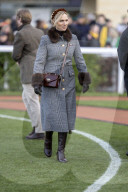 Zara Tindall at Cheltenham races
