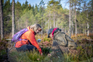 Ghosts of the landscape: how folklore and songs are key to rewilding Finland's reindeer