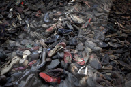 Visions of Auschwitz