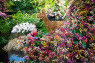 Kew Orchids Festival: Peru at Kew Gardens, Princess of Wales Conservatory, London, UK.