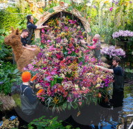 Kew Orchids Festival: Peru at Kew Gardens, Princess of Wales Conservatory, London, UK.