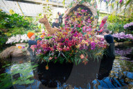 Kew Orchids Festival: Peru at Kew Gardens, Princess of Wales Conservatory, London, UK.