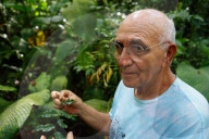 'I felt death in the flames': how lighting a forest fire inspired one man to transform barren ranches into rainforest