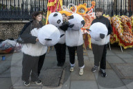 Chinese New Year Celebrations - London