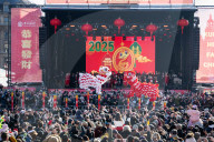 Chinese New Year - the Year of the Snake celebrations in Trafalgar Square, London, UK