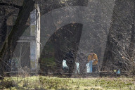 Litter picking on Khortytsia Island in Zaporizhzhia