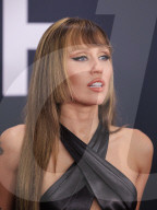 Grammy Awards 2025: RED CARPET