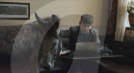 Actor Barry Keoghan gives donkey co-star a website