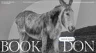 Actor Barry Keoghan gives donkey co-star a website