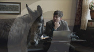 Actor Barry Keoghan gives donkey co-star a website