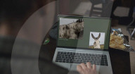 Actor Barry Keoghan gives donkey co-star a website