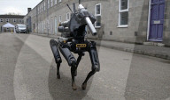 Robot dog for detecting and disabling bombs 