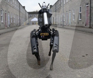 Robot dog for detecting and disabling bombs 