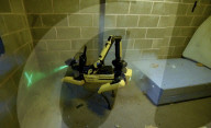 Robot dog for detecting and disabling bombs 