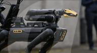 Robot dog for detecting and disabling bombs 