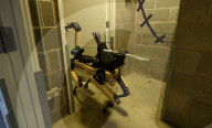 Robot dog for detecting and disabling bombs 
