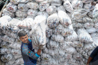 Laborers Unload Fish at Karnaphuli Fish Port - Bangladesh