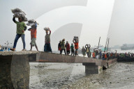 Laborers Unload Fish at Karnaphuli Fish Port - Bangladesh