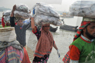 Laborers Unload Fish at Karnaphuli Fish Port - Bangladesh