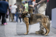 Dogs on the frontlines of keeping Super Bowl LIX safe