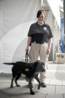 Dogs on the frontlines of keeping Super Bowl LIX safe