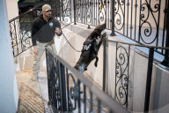 Dogs on the frontlines of keeping Super Bowl LIX safe