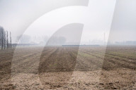 Castel Guelfo - incidente elicottero Lorenzo Rovagnati