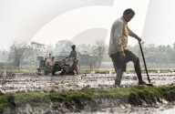 Daily Life In India