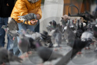 Daily Life In Krakow