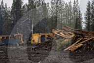 Biochar Is Created From Unmerchantable Wood, Using Two Tigercat 6040 Carbonizers, As Part Of Nevada County's Biomass Pilot Project 