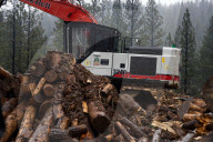Biochar Is Created From Unmerchantable Wood, Using Two Tigercat 6040 Carbonizers, As Part Of Nevada County's Biomass Pilot Project 