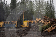 Biochar Is Created From Unmerchantable Wood, Using Two Tigercat 6040 Carbonizers, As Part Of Nevada County's Biomass Pilot Project 