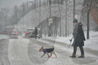 Snow Snarls The Morning Commute In Toronto, Canada
