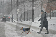 Snow Snarls The Morning Commute In Toronto, Canada