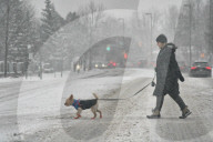 Snow Snarls The Morning Commute In Toronto, Canada