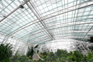 Greenhouses of Zaporizhzhia Botanical Garden restored after Russian attacks