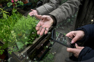Greenhouses of Zaporizhzhia Botanical Garden restored after Russian attacks