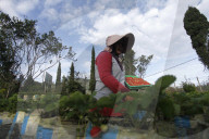 Strawberry Fields In Indonesia