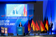 Wahlkampf 2025: AfD (Alternative für Deutschland) Vernatseltung in Greding
