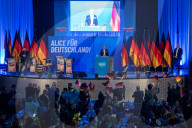 Wahlkampf 2025: AfD (Alternative für Deutschland) Vernatseltung in Greding