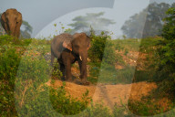 Life At A Garbage Dump In Polonnaruwa, Sri Lanka